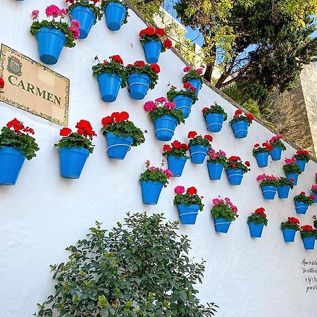 Вілла Idyllic Townhouse In Marbella Old Town Екстер'єр фото